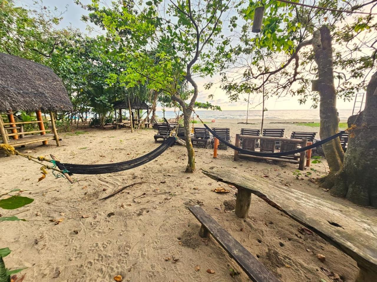 Big Bamboo Beach Resort Sipalay Dış mekan fotoğraf